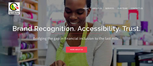 Ecosystem Accelerex Network