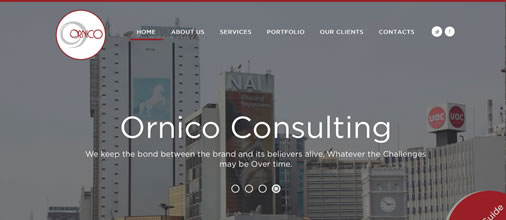 Ornico Consulting
